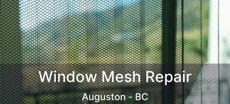  Window Mesh Repair Auguston - BC