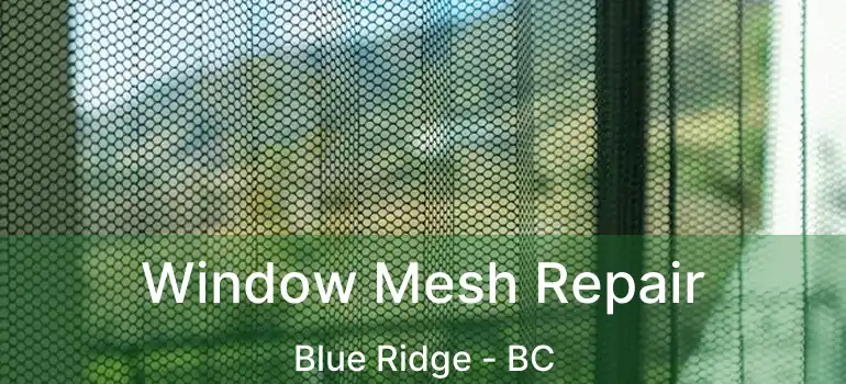  Window Mesh Repair Blue Ridge - BC