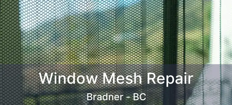  Window Mesh Repair Bradner - BC