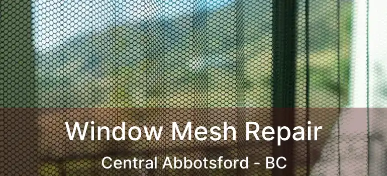  Window Mesh Repair Central Abbotsford - BC