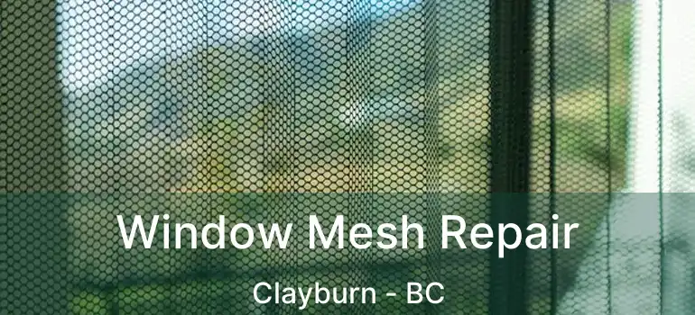  Window Mesh Repair Clayburn - BC