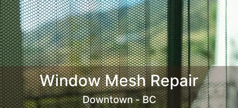  Window Mesh Repair Downtown - BC