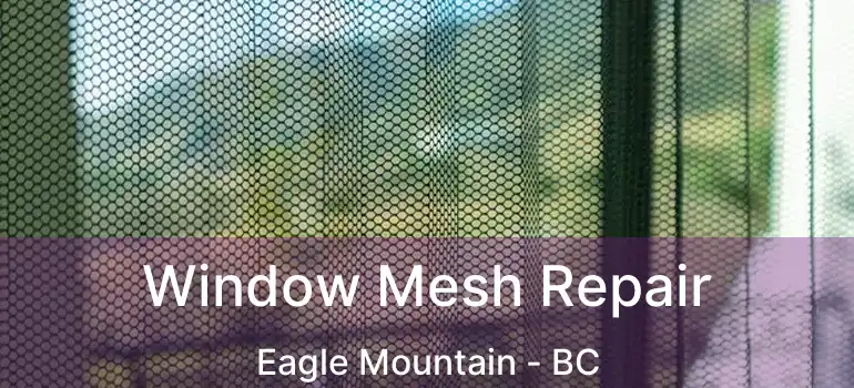  Window Mesh Repair Eagle Mountain - BC