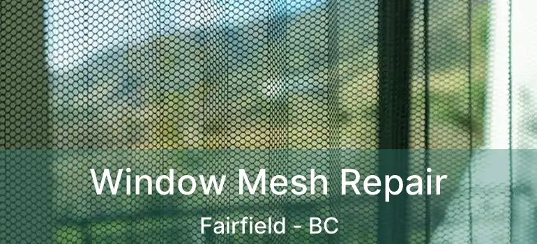  Window Mesh Repair Fairfield - BC