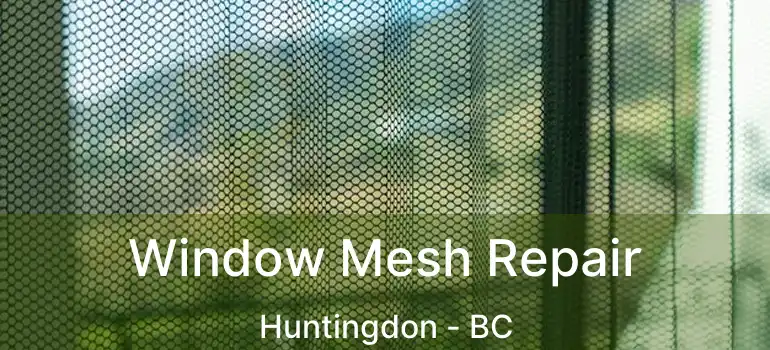  Window Mesh Repair Huntingdon - BC