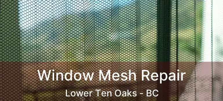  Window Mesh Repair Lower Ten Oaks - BC