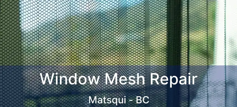  Window Mesh Repair Matsqui - BC