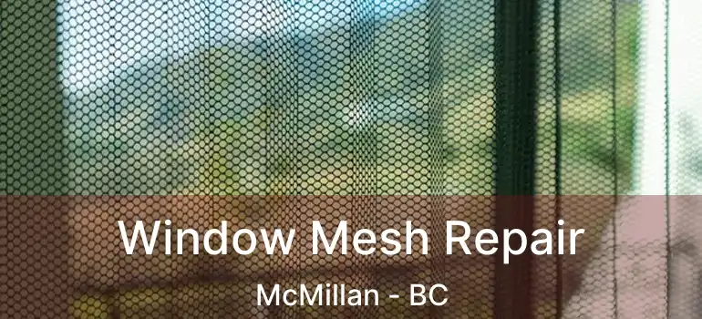  Window Mesh Repair McMillan - BC