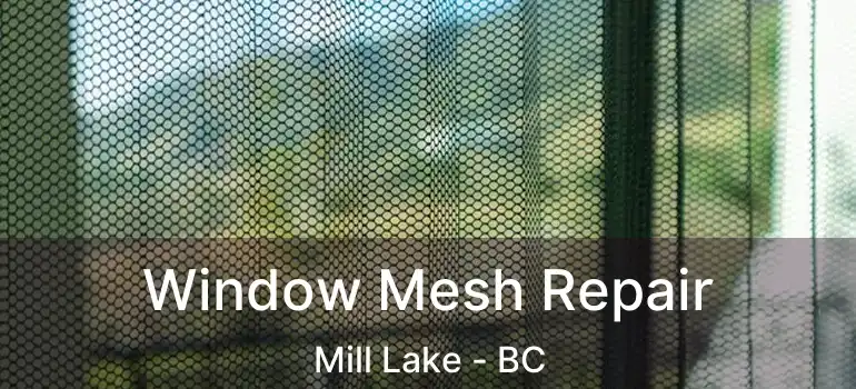  Window Mesh Repair Mill Lake - BC