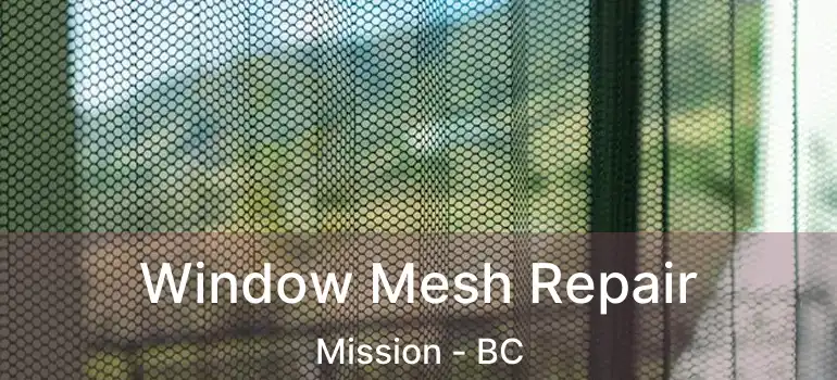  Window Mesh Repair Mission - BC