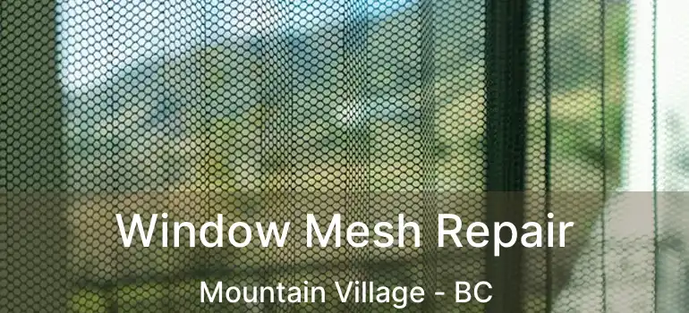  Window Mesh Repair Mountain Village - BC