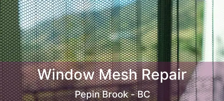  Window Mesh Repair Pepin Brook - BC