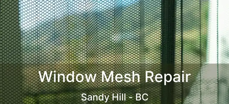  Window Mesh Repair Sandy Hill - BC