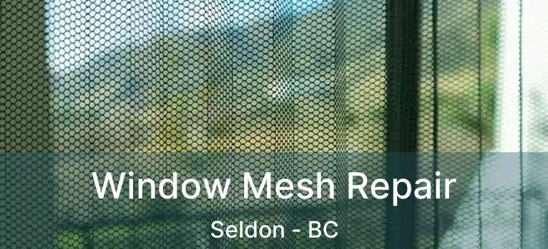  Window Mesh Repair Seldon - BC
