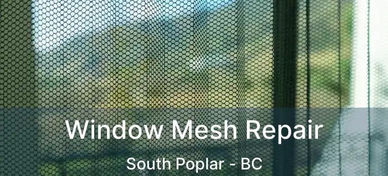 Window Mesh Repair South Poplar - BC