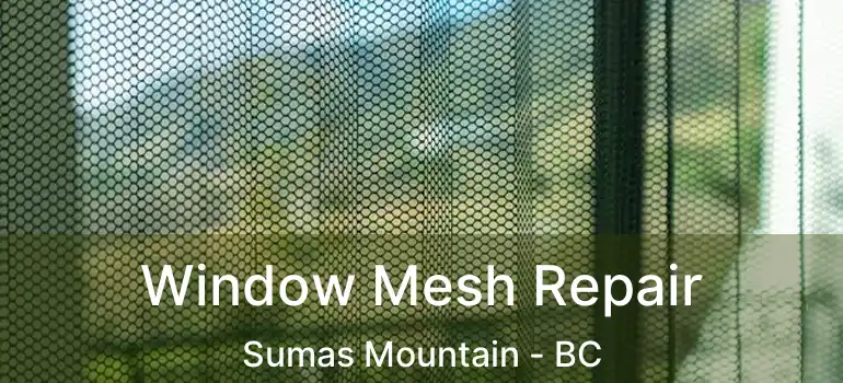  Window Mesh Repair Sumas Mountain - BC