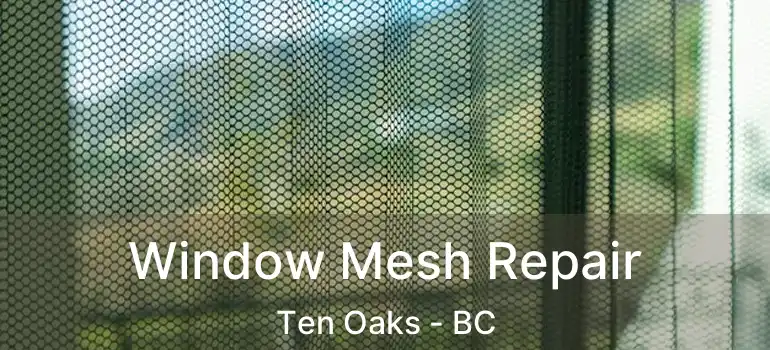  Window Mesh Repair Ten Oaks - BC