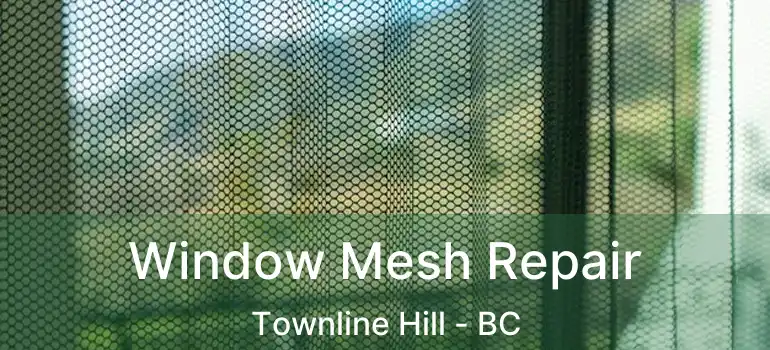  Window Mesh Repair Townline Hill - BC