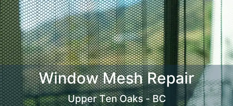  Window Mesh Repair Upper Ten Oaks - BC