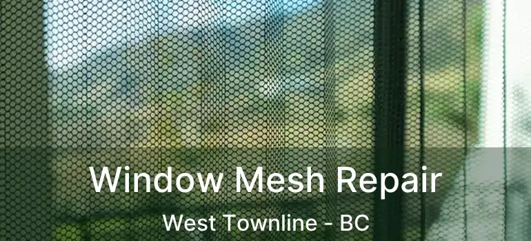  Window Mesh Repair West Townline - BC