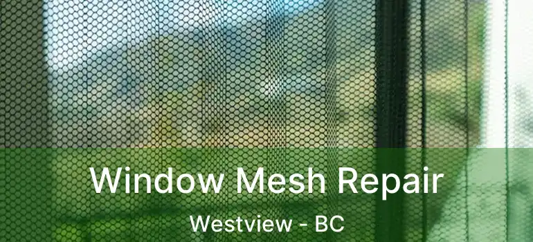  Window Mesh Repair Westview - BC