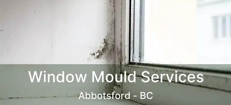 Window Mould Services Abbotsford - BC