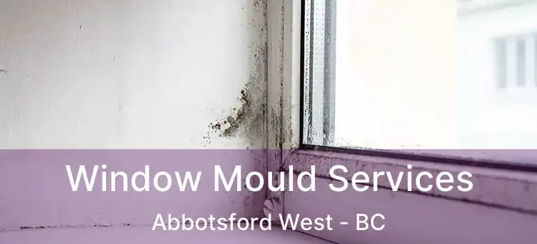  Window Mould Services Abbotsford West - BC