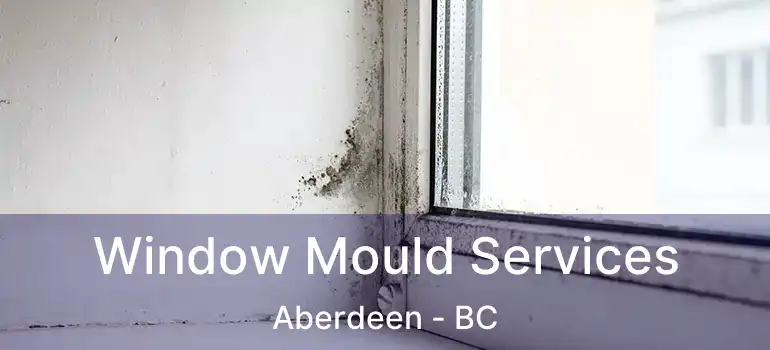  Window Mould Services Aberdeen - BC