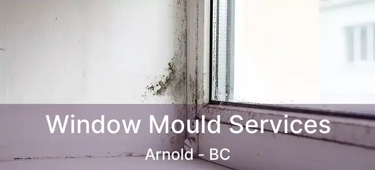  Window Mould Services Arnold - BC