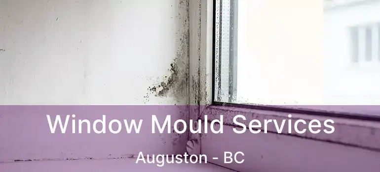  Window Mould Services Auguston - BC