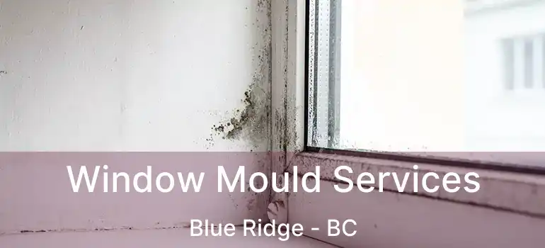  Window Mould Services Blue Ridge - BC