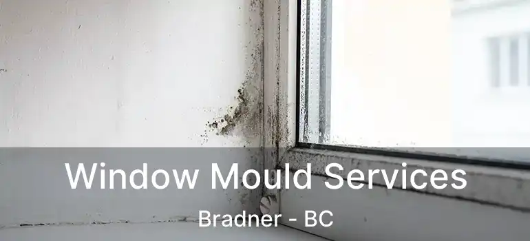  Window Mould Services Bradner - BC