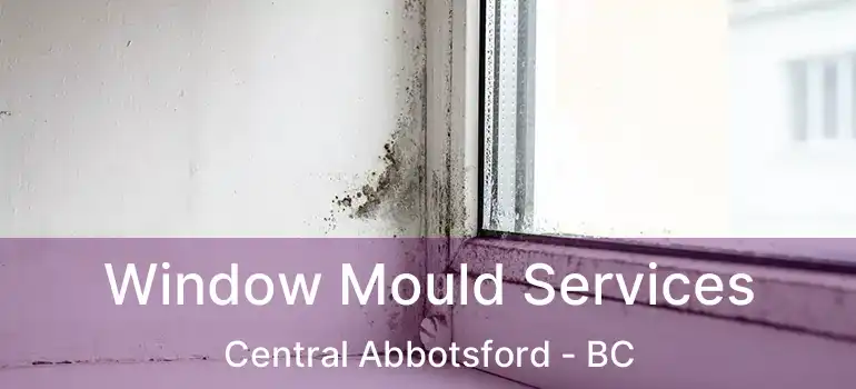  Window Mould Services Central Abbotsford - BC
