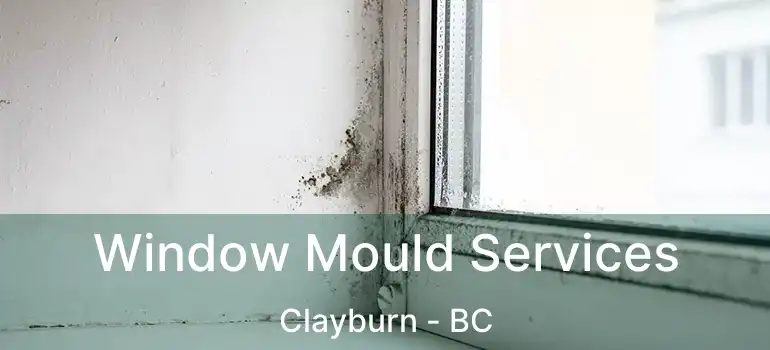  Window Mould Services Clayburn - BC