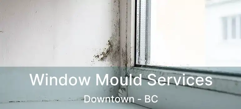  Window Mould Services Downtown - BC