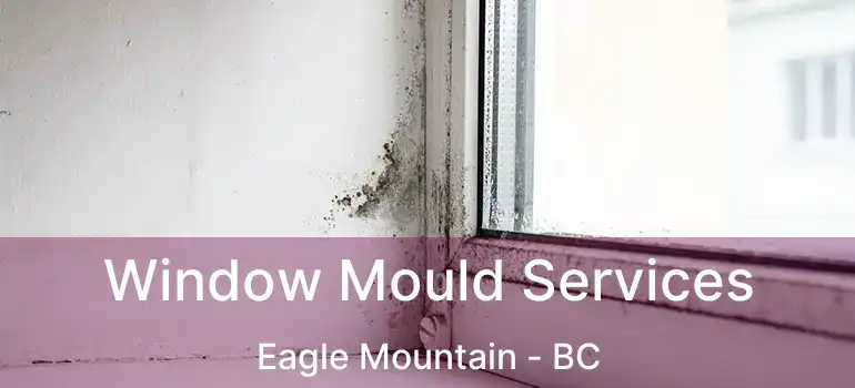 Window Mould Services Eagle Mountain - BC