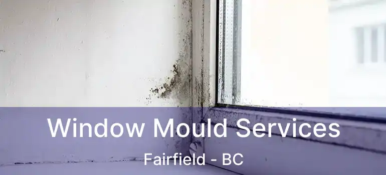  Window Mould Services Fairfield - BC
