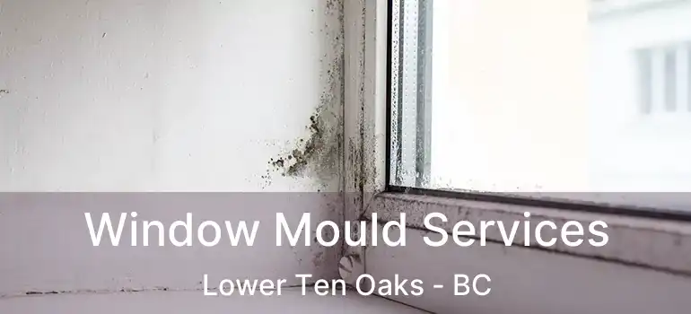 Window Mould Services Lower Ten Oaks - BC