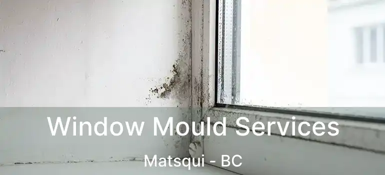  Window Mould Services Matsqui - BC