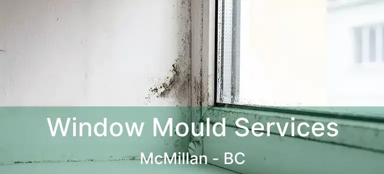  Window Mould Services McMillan - BC