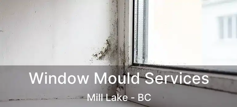  Window Mould Services Mill Lake - BC