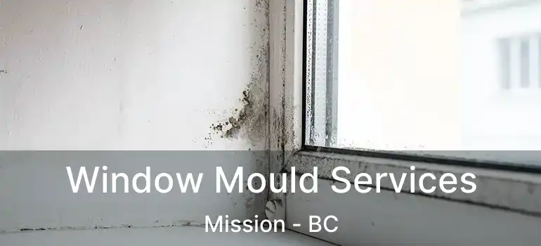  Window Mould Services Mission - BC