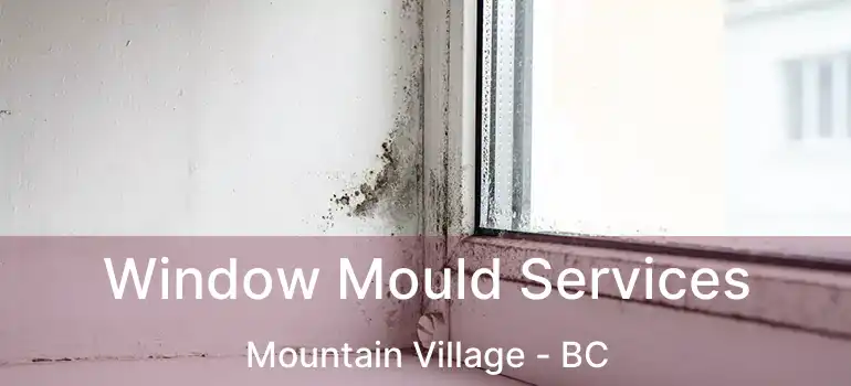  Window Mould Services Mountain Village - BC