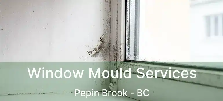  Window Mould Services Pepin Brook - BC