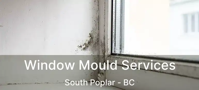  Window Mould Services South Poplar - BC