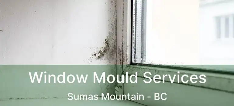  Window Mould Services Sumas Mountain - BC