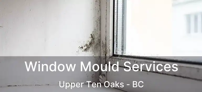  Window Mould Services Upper Ten Oaks - BC