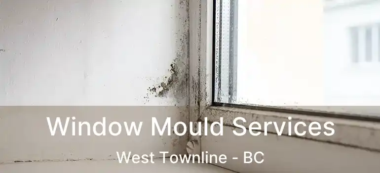  Window Mould Services West Townline - BC