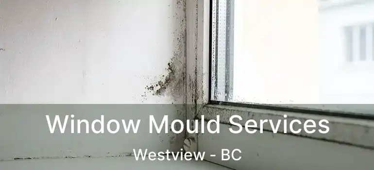  Window Mould Services Westview - BC