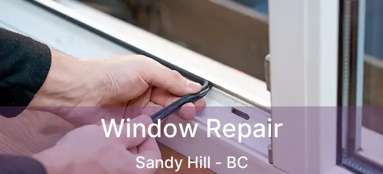  Window Repair Sandy Hill - BC